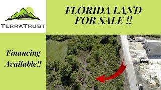 Florida Land For Sale - Owner Financing Available 