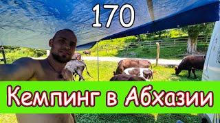 ВЛОГ  170 серия #Ванлайф #Vanlife  Кемпинг в Абхазии