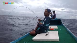 REEL MENJERIT KENCANG ‼️ SAAT IKAN MENYAMBAR UMPAN DIKEDALAMAN 70MTR ULTRA LIGHT JIGGING