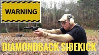 Diamondback Sidekick WARNING great pistol but don’t do this.