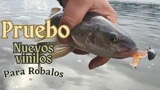 LOCURA DE PESCA  TESTEANDO NUEVOS VINILOS CON LOS ROBALOS 