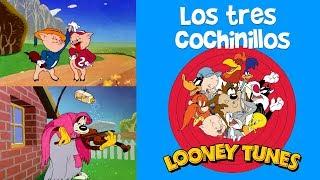 Lo Mejor de Looney Tunes en Español Latino  Los Tres Cochinillos  Dibujos Animados Clásicos HD