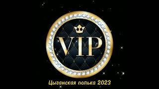 ЦЫГАНСКАЯ ПОЛЬКА 2023 Даня Масэнко