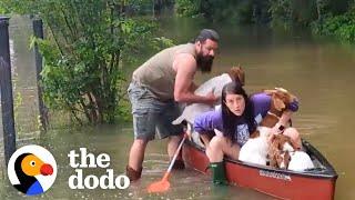 Family Risks Their Lives To Rescue Baby Goats In Flood  The Dodo