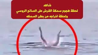 لحظة هجوم #سمكة_القرش على #السائح_الروسي في مدينة #الغردقه #مصر #shark