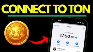 How to Connect Hamster Kombat to Ton Wallet App