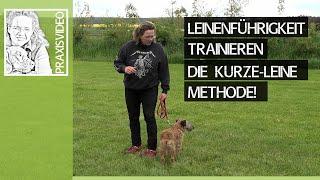 Leinenführigkeit beim Hund trainieren ️ Die kurze Leine Methode ️ Praxisvideo ️