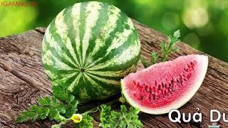 TÊN GỌI CÁC LOẠI TRÁI CÂY CHO BÉ  LEARNING NAME FRUIT FOR KIDS ENGLISH NAME FRUIT FOR BABY