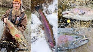 Where When & How To Catch Steelhead In The River  Great Lakes Steelhead Life Cycle & Habits