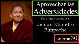 30-Aprovechar las Adversidades-Jetsun Khandro Rinpoche-30 Lojong