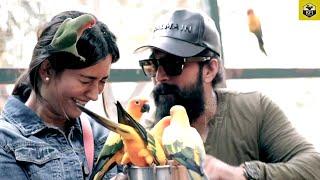 Radhika Pandit Beautiful Moments With Husband Yash Rocking Star Yash Family Ayra Yash Cute Videos