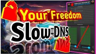 How to Set Up DNS Settings on Your Freedom VPN  Easy Step-by-Step Guide