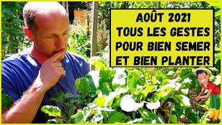 10 légumes à semer ou planter en août au potager