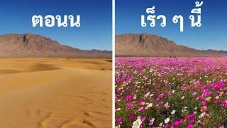 ปรากฏการณ์ทางธรรมชาติที่จะทำให้คุณกระพริบตา