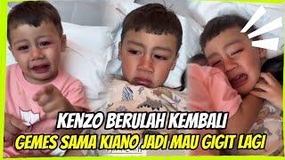 KENZO BERULAH LAGI  GEMES SAMA KIANO JADINYA PENGEN GIGIT TERUS