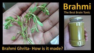 The Medicine for Memory- Brahmi Ghrita. How is it made?