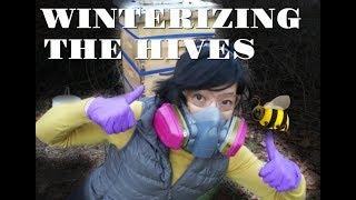 Winterizing Hives & Oxalic Acid Vapor Treatment-- Bee Vlog #30 2018
