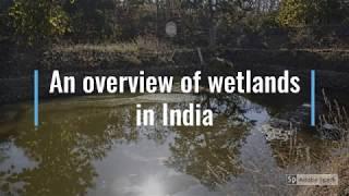 An overview on wetlands in India