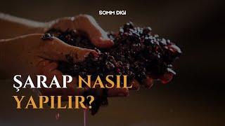 Şarap Nasıl Yapılır?  Video Sunum #Şarap