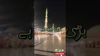 Makeen e Gumbad e Khazra Ko Haal e Dil Sunayenge #shorts #Islamicshort#unitedpakistantours