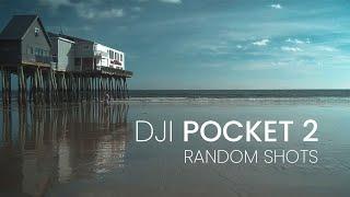 DJI Pocket 2  Random Shots  Cinematic   4K