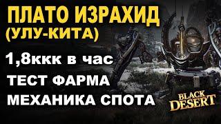 ПЛАТО ИЗРАХИД. 18кккчас Агрис. Тест фарма серебра в БДО BDO - Black Desert