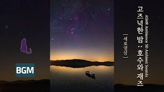  Quiet Nights  Lakes and Jazz  ASMR Ambience 3D Ambient Sounds