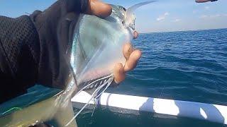 GIANT TREVALLY  KAKAP MERAH SENSASI STRIKENYA MEMANG BEDA