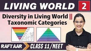 Living World 02  Diversity in Living World  Taxonomic Categories   Class 11NEET  RAFTAAR