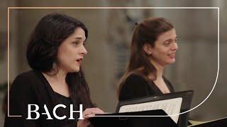 Bach - Mis in b klein Hohe Messe BWV 232 - Van Veldhoven  Nederlandse Bachvereniging