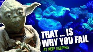 Revealed The Top Reasons Why Reef Keeping is Failing and How to Fix It