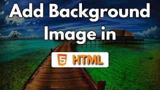 How to Add Full Screen Background in HTML for Beginners  Full Screen