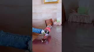 New Funny Videos 2021 Chinese Funny Video try not to laugh #short P1545