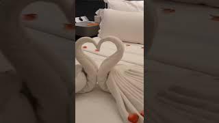 Deco Towel Swan  তাওয়ালে দিয়ে সুন্দর হাঁস বানানো #shortvideo #shortdectowel