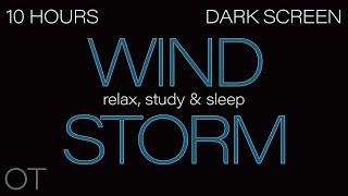 HOWLING WIND Sounds for Sleeping Relaxing Studying BLACK SCREEN Real Storm Sounds SLEEP SOUNDS