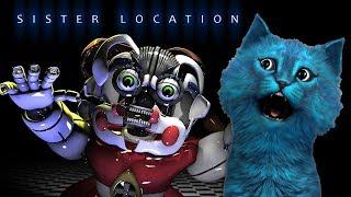 ФНАФ СИСТЕР ЛОКЕЙШН #1 Немного ЖУТКОВАТО КОТЁНОК ЛАЙК Five Nights at Freddys Sister Location