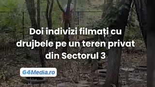 Doi indivizi filmați când taie cu drujbele copacii de pe un teren privat din Sectorul 3 București