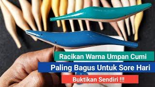 Racikan Warna Umpan Cumi Yang Bagus Untuk Sore Hari