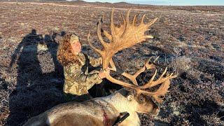 HIS ANTLERS FELL OFF Caribou & Wolf Hunting - Stuck N The Rut 190