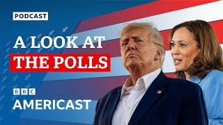 Is Kamala Harris beating Donald Trump in the US election polls?  BBC Americast