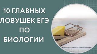 10 самых главных ловушек ЕГЭ по биологии