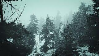 Snowstorm Blizzard Wind Sounds For Sleeping Relaxing  Calm Snow Arctic Howling Winter Ambience