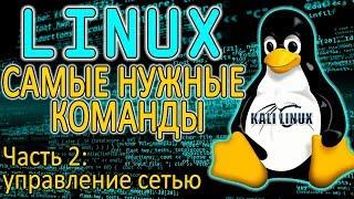 Основы Linux. Как управлять сетью