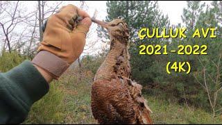 Çulluk Avı 2021-2022 Kaçanlar ve Çantaya Girenler - Woodcock Hunt 4K