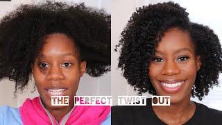 Super Defined Twist Out on Type 4 Natural Hair