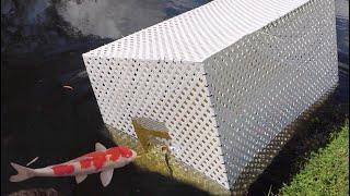 GIANT FISH-TRAP CATCHES MASSIVE COLORFUL FISH