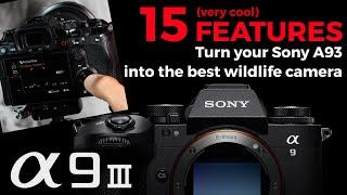 15 Features to turn your Sony A9iii into the best camera for wildlife photography