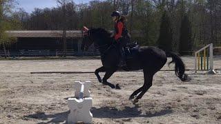 Malu 13 und Chanteur - Galoppsprünge üben auf gebogener Linie am 17.04.2022