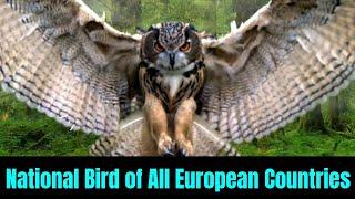 National Bird of All European Countries  Country wise National Birds Flags & Coat of arms