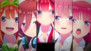 Anime Edit  AMV  Gotoubun Girls 